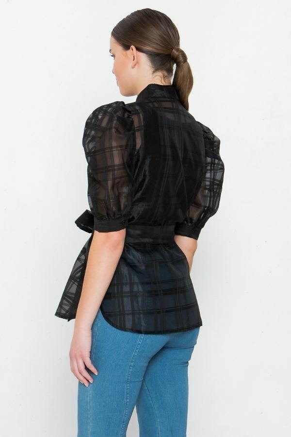 A See-thru Mini Length Organza Top